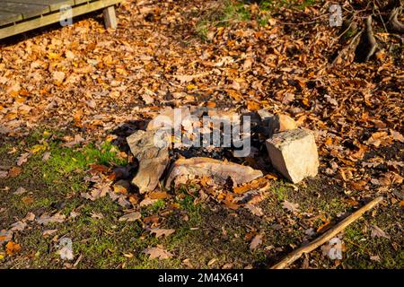 Stone fire pit in autumn foliage. High quality photo Stock Photo