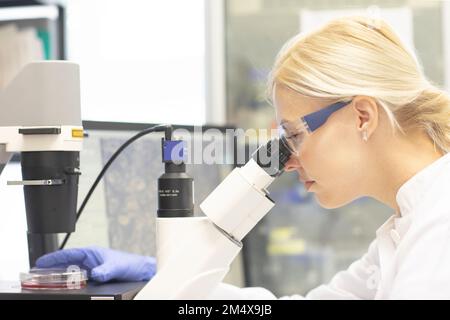 Scientist examining medical sample through microscope in laboratory Stock Photo