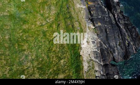 Dense thickets of grass on the shore. Grass-covered rocks on the Atlantic Ocean coast. Nature of Ireland, top view. Drone photo. View from above. Stock Photo