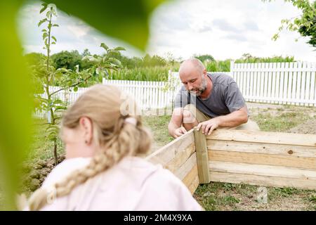 Mature man making wooden raised bed in back yard Stock Photo