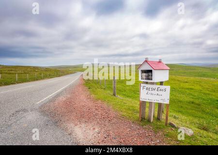 UK, Scotland, Fresh chicken eggs for sale at side of remote road in Shetland Islands Stock Photo
