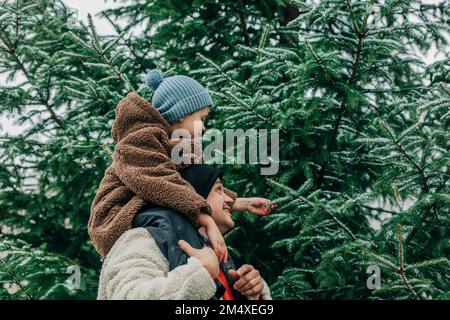 Son sitting on father's shoulders touching leaves of fir trees at forest Stock Photo