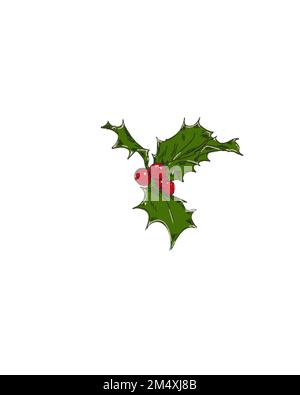 Holly branch design with green leaves and red berries for Christmas ...
