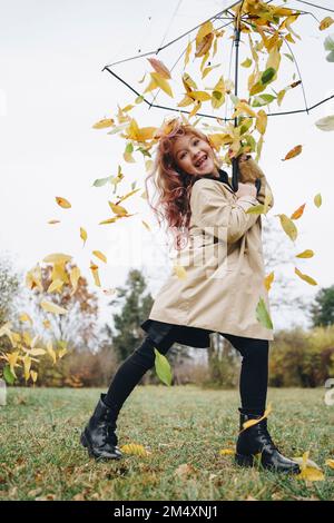 girl with umbrella on autumn leaves studio shoot Stock Photo - Alamy