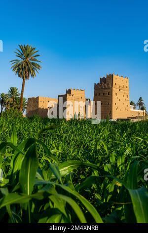 Saudi Arabia, Najran Province, Najran, Green plants growing in front of traditional Arabic mud houses Stock Photo