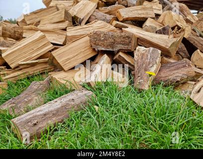 Chopped down tree trunks, firewood stacked in a storage yard, for heating in winter Stock Photo