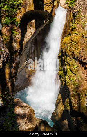 Ladder Creek Falls & Gardens; Gorge Dam; Skagit River; Washington state; USA Stock Photo