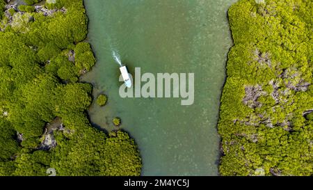 Aerial of the Mangrove forest, Farasan islands, Kingdom of Saudi Arabia Stock Photo