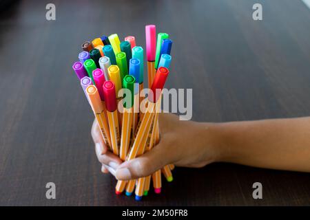 Colorful point 88 pens by Stabilo held in hand on study table along with a blank white paper for study, art, journaling, bullet journal, planner, draw Stock Photo
