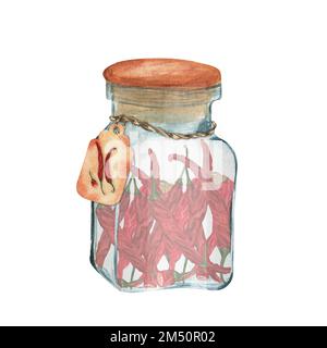 Hand-drawn watercolor glass jar with chili pepper. This is a part of the big set of Indian spices Stock Photo