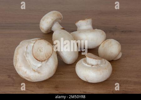 Fresh white champignons on a wooden table. Vegetables for cooking in the kitchen. Stock Photo
