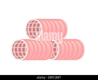 Plastic retro design curlers vector illustration isolated on white background Stock Vector