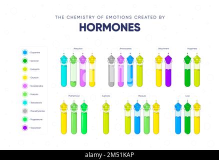 The chemistry of emotions created by hormones. Dependence of the state and mood of the person on hormonal background. Names of hormones and medical fl Stock Vector