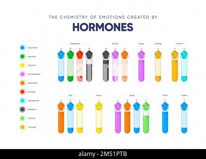 The chemistry of emotions created by hormones. Dependence of the state and mood of the person on hormonal background. Names of hormones and medical fl Stock Vector