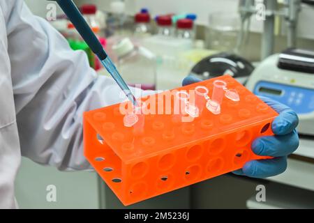 In the biology lab. Manipulations with samples during the study. Stock Photo