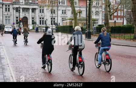A group of cyclists on Horse Guards Road in the City of Westminster, London, United Kingdom, Europe Stock Photo
