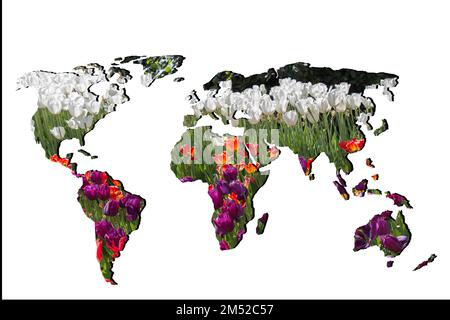 Roughly outlined world map with white background Stock Photo