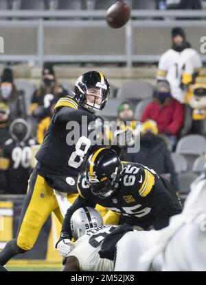 Pittsburgh, United States. 24th Dec, 2022. Pittsburgh Steelers defensive  tackle Cameron Heyward (97) celebrates of the 13-10 Steelers win against  the Las Vegas Raiders with Pittsburgh Steelers defensive tackle Larry  Ogunjobi (99)