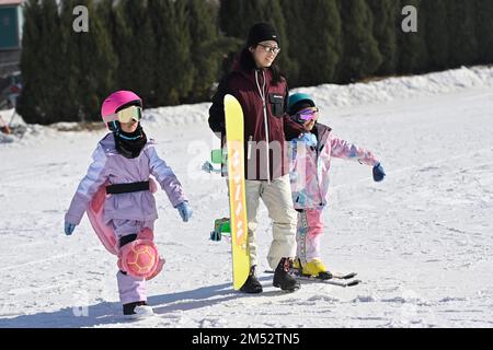 WEIFANG, CHINA - DECEMBER 25, 2022 - Tourists walk into a ski resort in Weifang, East China's Shandong province, Dec. 25, 2022. Stock Photo