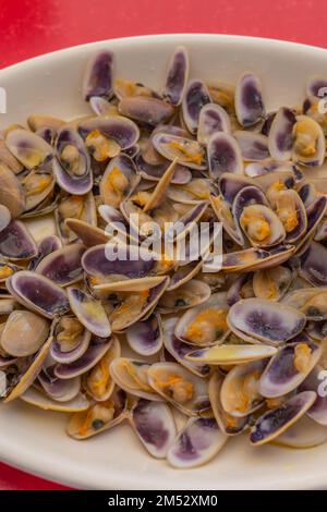 Close-up of steamed clams with lila colour on a white plate Stock Photo