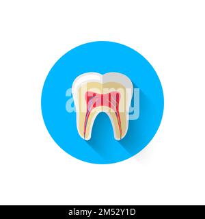 Tooth in the cut icon is isolated in a flat design style vector illustration. Modern icon on the theme of stomatology in stylish colors. Website and d Stock Vector
