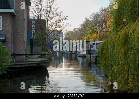 The floating houses in the canals of Amsterdam in the Netherlands with colorful trees around them Stock Photo