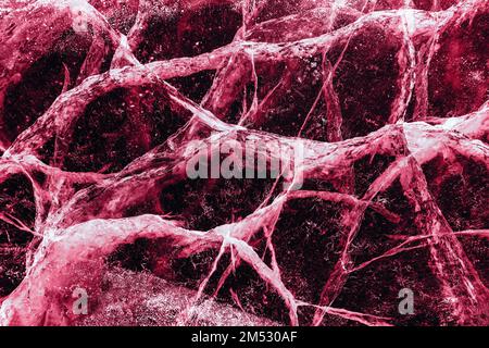 Transparent dark ice of frozen Baikal lake with white cracks pattern. Beautiful winter nature background. Toned image in trendy magenta color of year 2023. Stock Photo