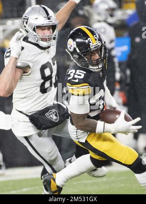 Pittsburgh Steelers cornerback Arthur Maulet (35) defends during