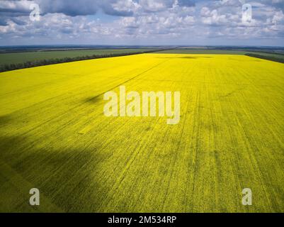 Aerial shot of beautiful cultivated landscape with rapeseed, wheat and corn crop fields, drone pov Stock Photo
