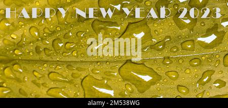 Greeting New Year 2023 nature background on yellow leaf background with dew drop Stock Photo