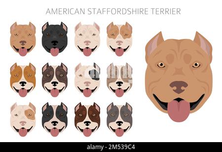 American staffordshire terrier clipart. Coat colors set.  All dog breeds characteristics infographic. Vector illustration Stock Vector