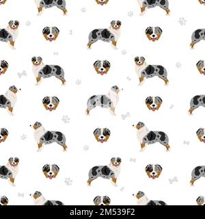 Australian shepherd seamless pattern. Background Aussie set.  Vector illustration Stock Vector
