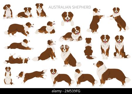 Australian shepherd clipart. Coat colors Aussie set. All dog breeds
