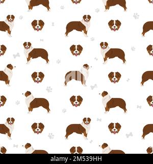 Australian shepherd seamless pattern. Background Aussie set.  Vector illustration Stock Vector