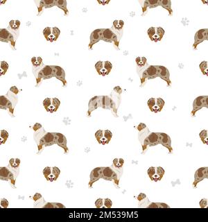 Australian shepherd seamless pattern. Background Aussie set.  Vector illustration Stock Vector