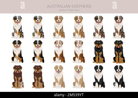 Australian shepherd clipart. Coat colors Aussie set. All dog breeds