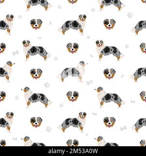 Australian shepherd seamless pattern. Background Aussie set.  Vector illustration Stock Vector