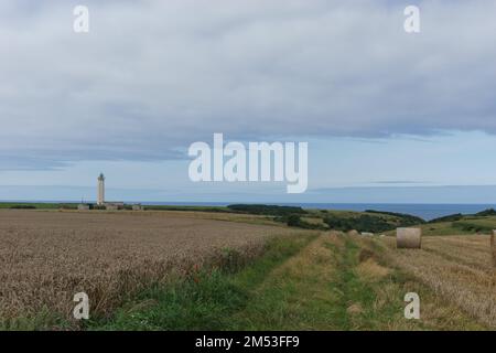 Lighthouse Phare d'Antifer with fields on the Alabaster Coast near Etretat, Normandy, France Stock Photo