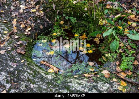 Giant's kettle or glacial pothole filled with rainwater in Seurasaari, Helsinki, Finland Stock Photo