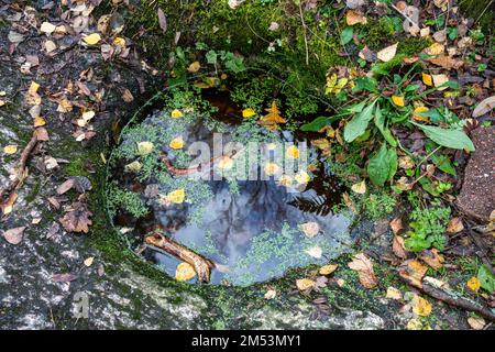 Giant's cauldron or giant's kettle or glascial pothole or moulin pothole filled with rainwater in Seurasaari People's Park in Helsinki, Finland Stock Photo