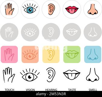 Five human feelings. Mouth or lips, hand and nose, eye and ear icons ...