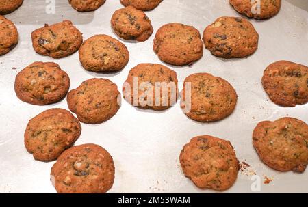 Chocolate chip cookies fresh out of the oven. Stock Photo