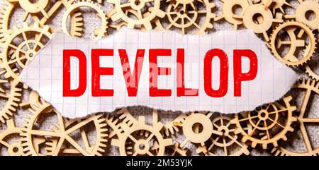 Develop word written on wood block. Develop text on cement table for your desing, concept. Stock Photo