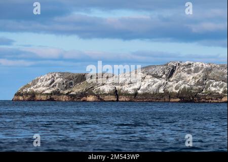 Bird roost on sea rocks with blue sky as a background. Stock Photo