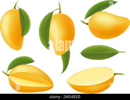Yellow mango isolated on white Stock Vector