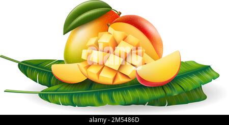 Realistic mango fruits on palm leaves Stock Vector