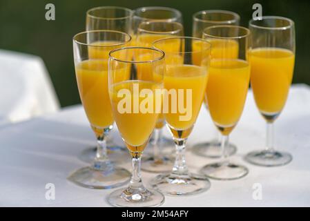 Glasses with orange juice on a table, Lower Saxony, Germany Stock Photo