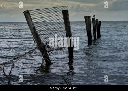 Germany, Rerik, 27. 06. 2020, beach, shore, barrier, fence to Wustrow peninsula, restricted area, former military use Stock Photo