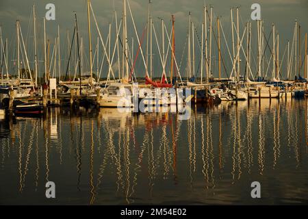 Germany, Rerik, 27. 06. 2020, sailing harbour, Salzhaff Stock Photo