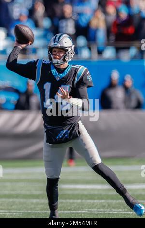Charlotte, NC USA; Carolina Panthers quarterback Sam Darnold (14) passes the ball during an NFL game against the Detroit Lions at Bank of America Stad Stock Photo